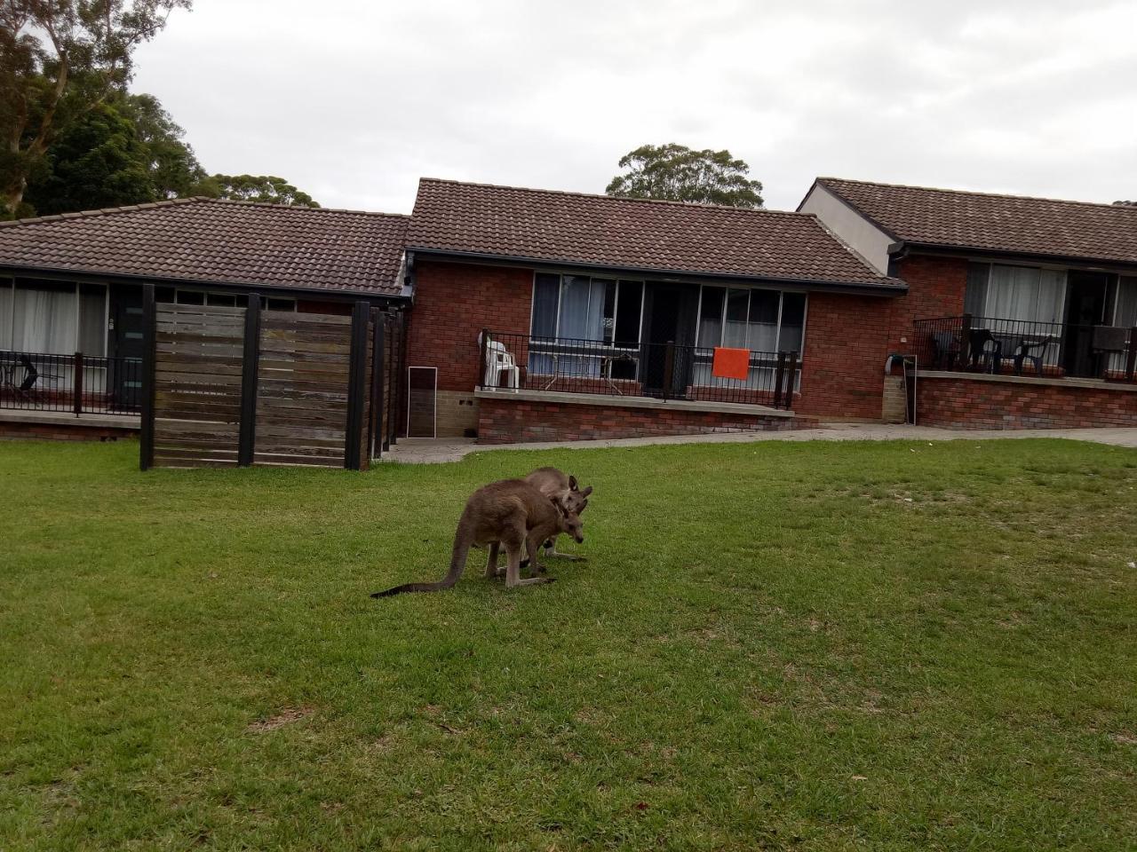 The Jervis Bay Villas Vincentia Exterior photo